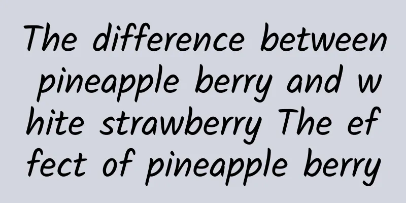 The difference between pineapple berry and white strawberry The effect of pineapple berry