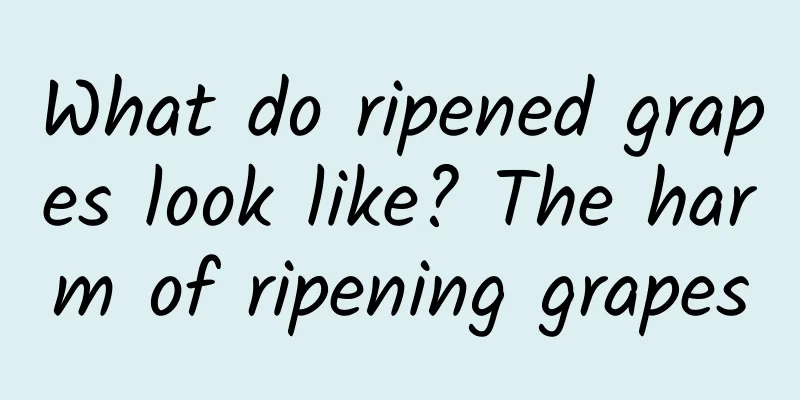 What do ripened grapes look like? The harm of ripening grapes