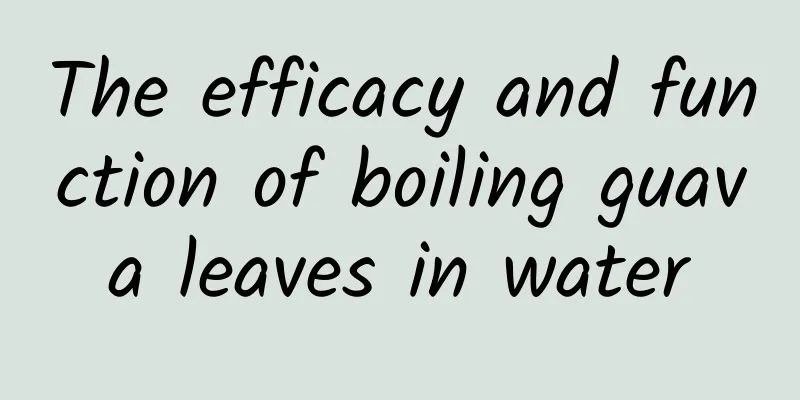 The efficacy and function of boiling guava leaves in water