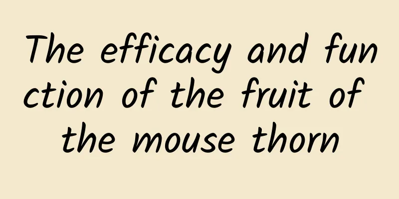 The efficacy and function of the fruit of the mouse thorn