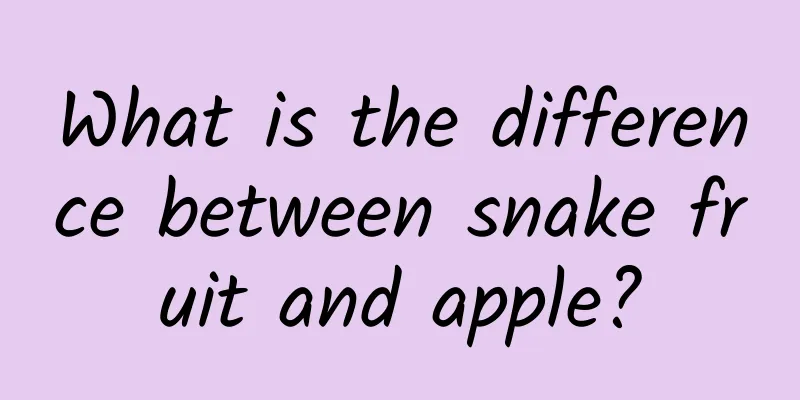 What is the difference between snake fruit and apple?