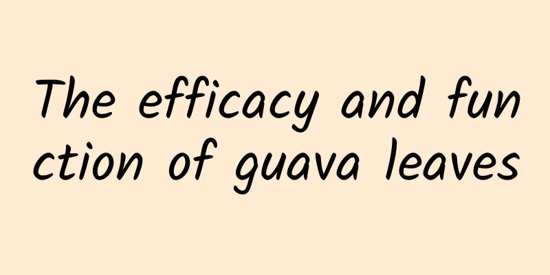 The efficacy and function of guava leaves