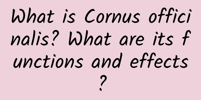 What is Cornus officinalis? What are its functions and effects?