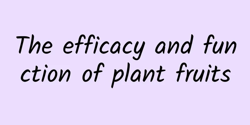 The efficacy and function of plant fruits