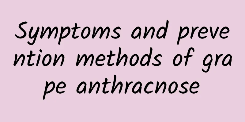 Symptoms and prevention methods of grape anthracnose