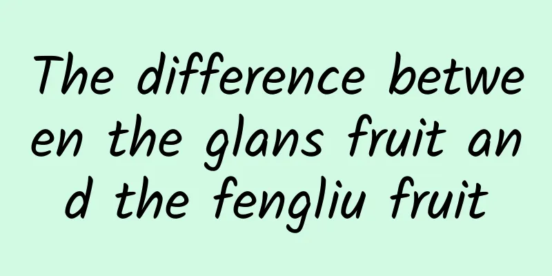 The difference between the glans fruit and the fengliu fruit