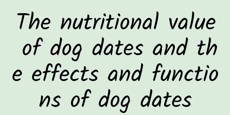 The nutritional value of dog dates and the effects and functions of dog dates