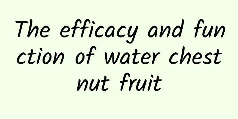 The efficacy and function of water chestnut fruit