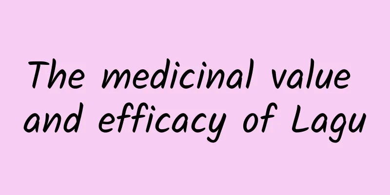 The medicinal value and efficacy of Lagu