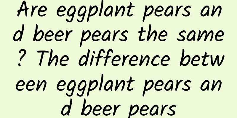 Are eggplant pears and beer pears the same? The difference between eggplant pears and beer pears