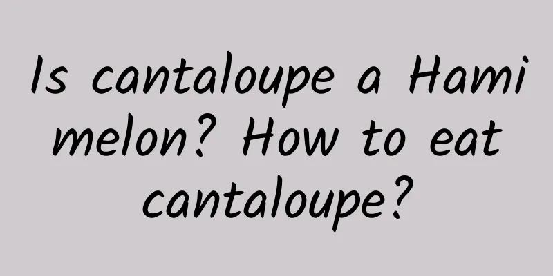 Is cantaloupe a Hami melon? How to eat cantaloupe?