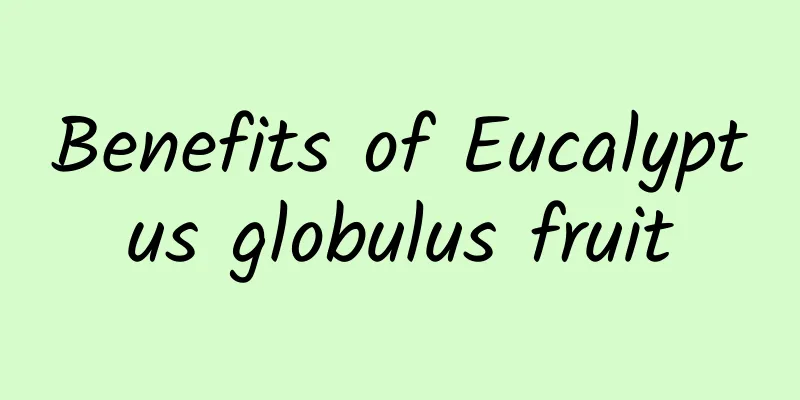 Benefits of Eucalyptus globulus fruit