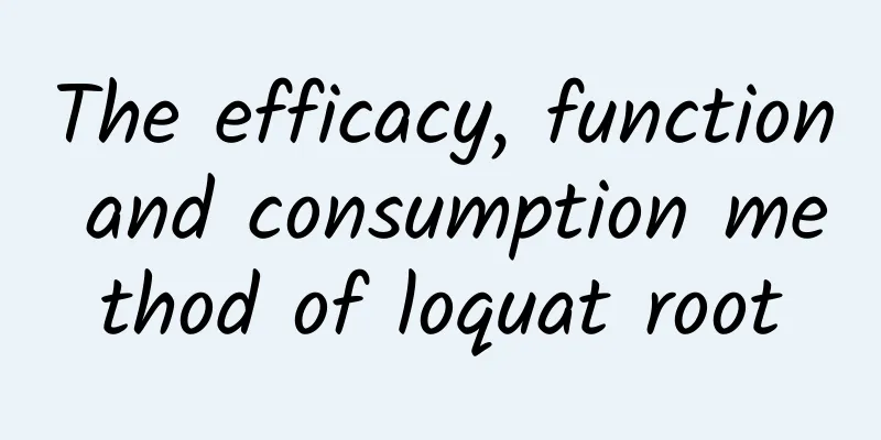 The efficacy, function and consumption method of loquat root