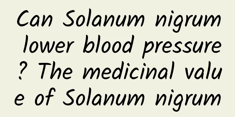 Can Solanum nigrum lower blood pressure? The medicinal value of Solanum nigrum