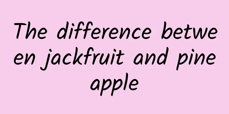 The difference between jackfruit and pineapple