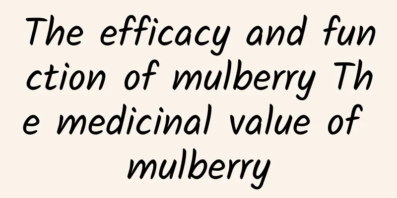 The efficacy and function of mulberry The medicinal value of mulberry