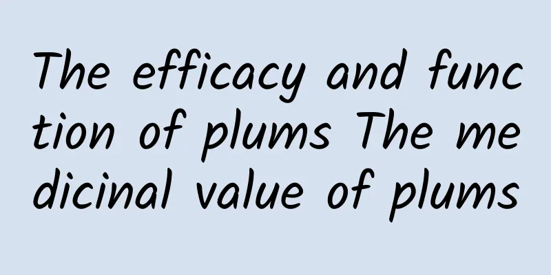 The efficacy and function of plums The medicinal value of plums