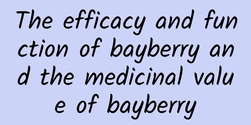 The efficacy and function of bayberry and the medicinal value of bayberry