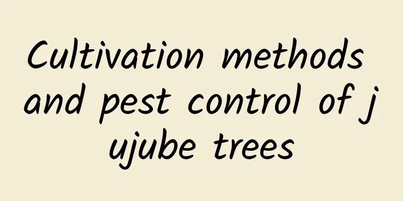 Cultivation methods and pest control of jujube trees