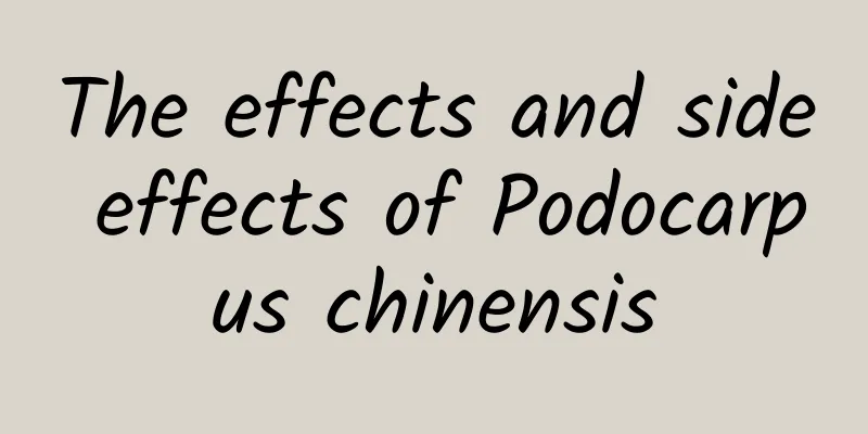 The effects and side effects of Podocarpus chinensis