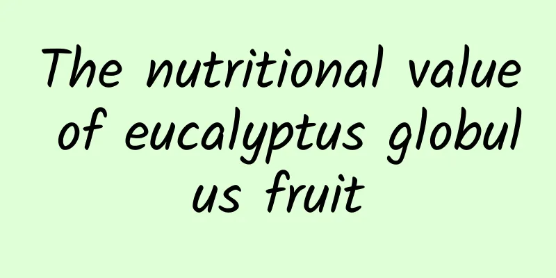 The nutritional value of eucalyptus globulus fruit