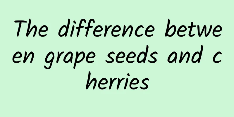 The difference between grape seeds and cherries