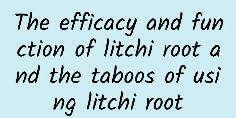 The efficacy and function of litchi root and the taboos of using litchi root