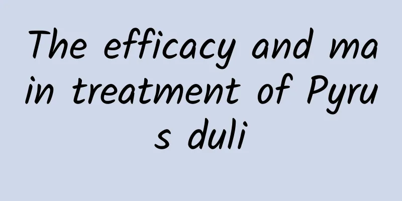 The efficacy and main treatment of Pyrus duli