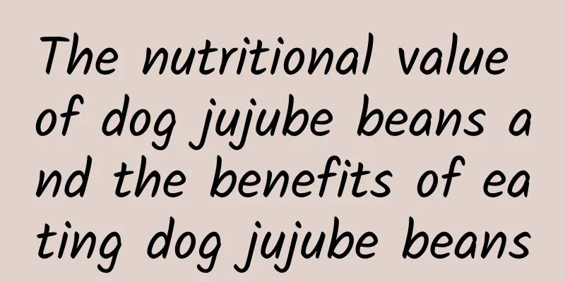 The nutritional value of dog jujube beans and the benefits of eating dog jujube beans