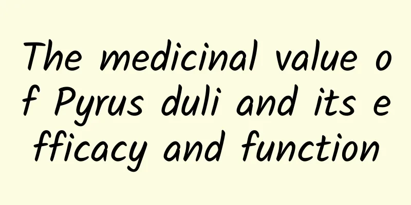 The medicinal value of Pyrus duli and its efficacy and function