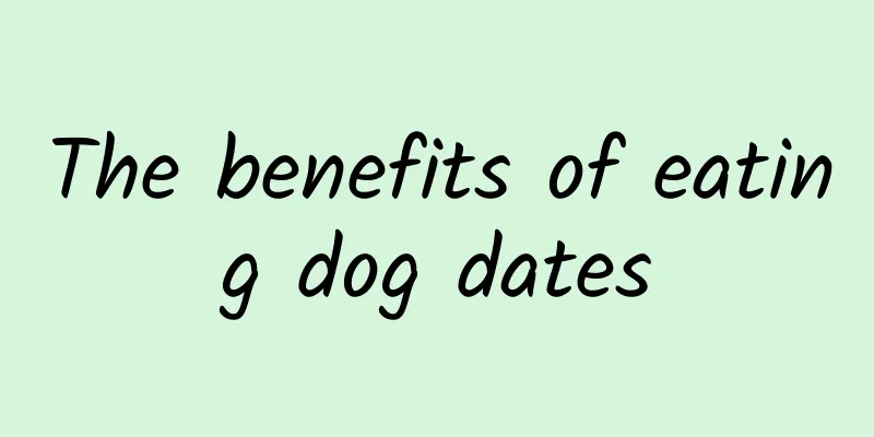 The benefits of eating dog dates