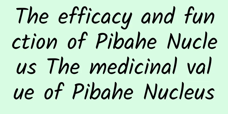 The efficacy and function of Pibahe Nucleus The medicinal value of Pibahe Nucleus