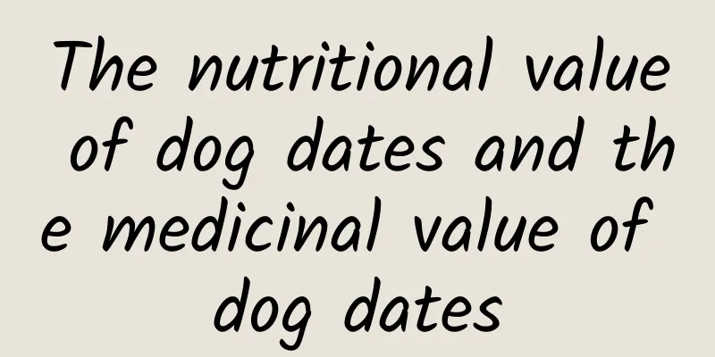 The nutritional value of dog dates and the medicinal value of dog dates