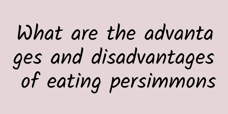 What are the advantages and disadvantages of eating persimmons