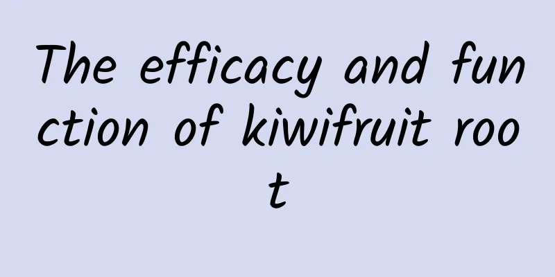 The efficacy and function of kiwifruit root