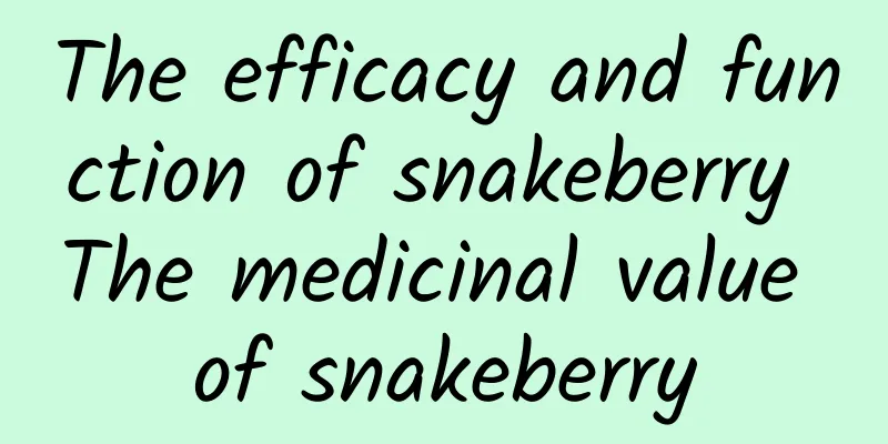 The efficacy and function of snakeberry The medicinal value of snakeberry