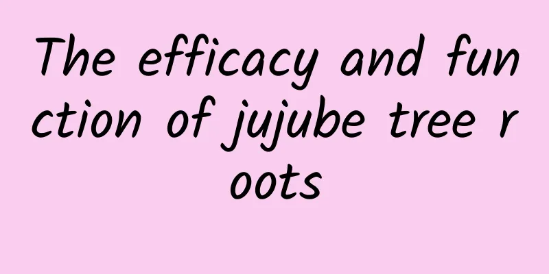 The efficacy and function of jujube tree roots