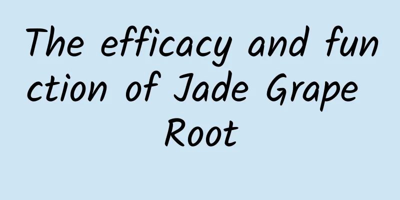 The efficacy and function of Jade Grape Root