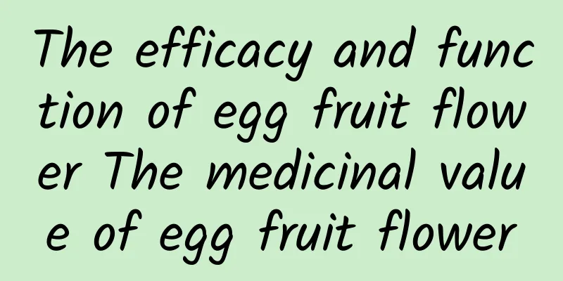 The efficacy and function of egg fruit flower The medicinal value of egg fruit flower