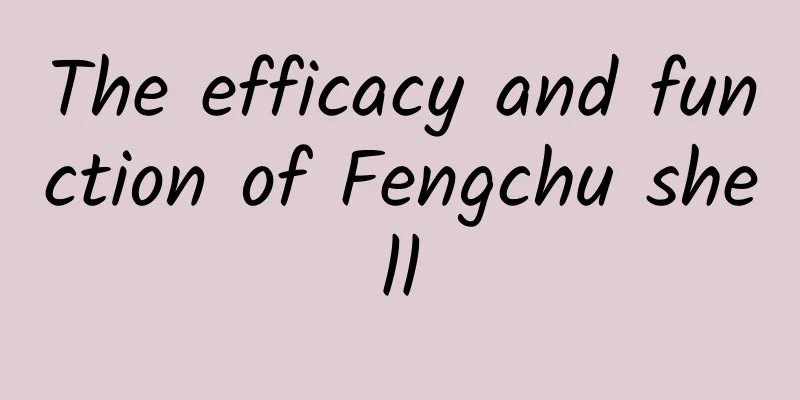 The efficacy and function of Fengchu shell