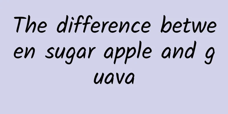 The difference between sugar apple and guava