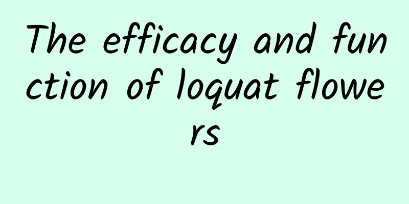 The efficacy and function of loquat flowers