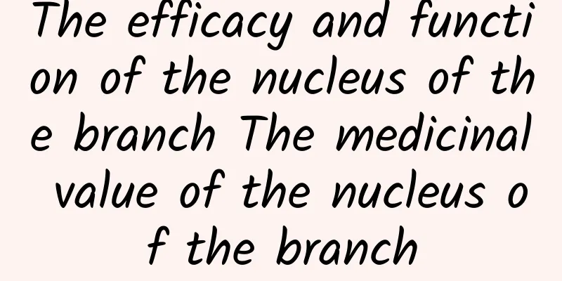 The efficacy and function of the nucleus of the branch The medicinal value of the nucleus of the branch