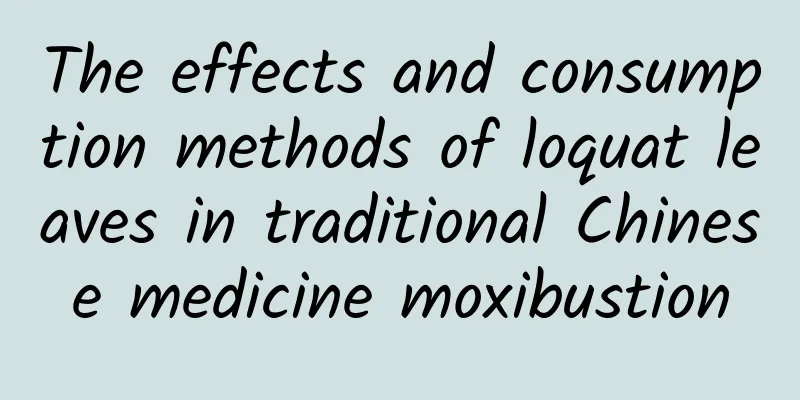 The effects and consumption methods of loquat leaves in traditional Chinese medicine moxibustion