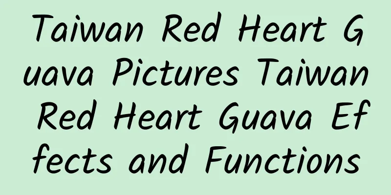 Taiwan Red Heart Guava Pictures Taiwan Red Heart Guava Effects and Functions