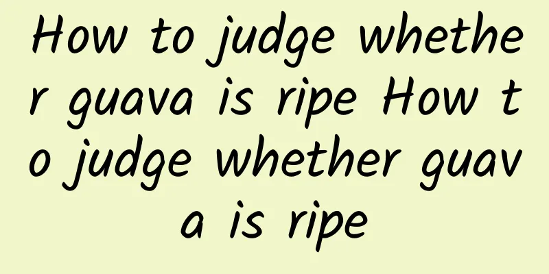 How to judge whether guava is ripe How to judge whether guava is ripe