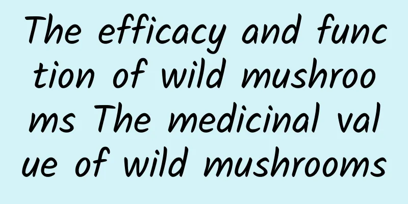 The efficacy and function of wild mushrooms The medicinal value of wild mushrooms