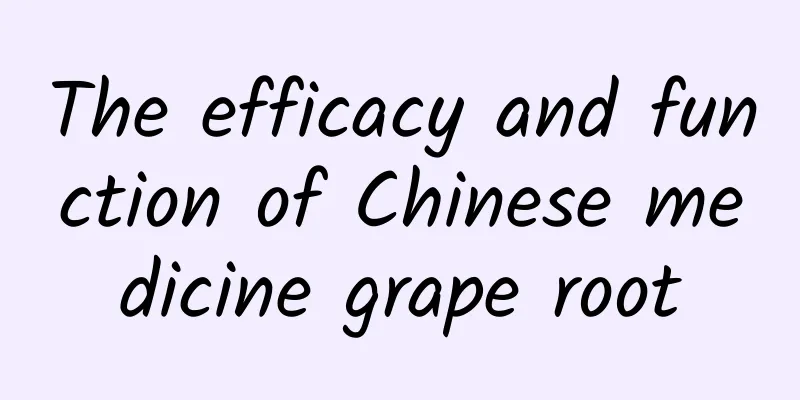 The efficacy and function of Chinese medicine grape root