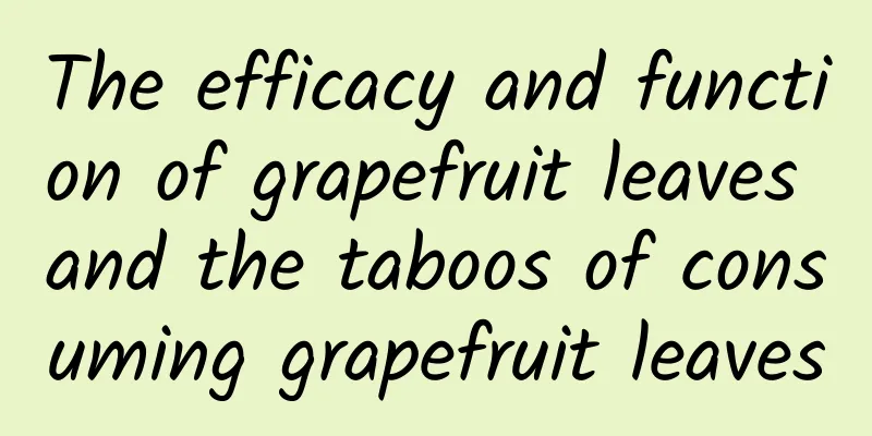 The efficacy and function of grapefruit leaves and the taboos of consuming grapefruit leaves