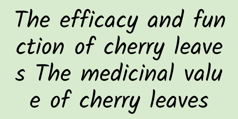 The efficacy and function of cherry leaves The medicinal value of cherry leaves